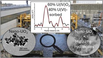 Nanoparticulate and colloidal uranium and plutonium in spent nuclear fuel storage pond effluents.