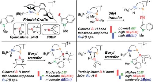 Mechanistic Insights into Ru–S Complex-Catalyzed C–H Silylation and Borylation of N-Heteroarene: Distinct Bonding Interactions