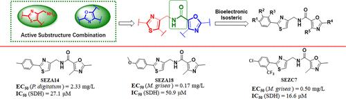 Discovery of N-((2-Arylthiazol-4-yl)methyl)oxazole-5-carboxamide Derivatives as SDHi for Fungicidal Candidates