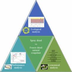 Life cycle assessment of nature-based coagulant production: Light and dark sides of the freeze-drying process