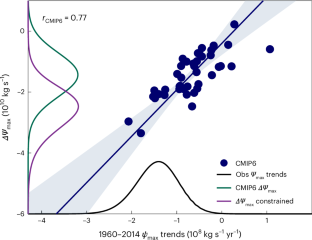 Atmospheric circulation to constrain subtropical precipitation projections