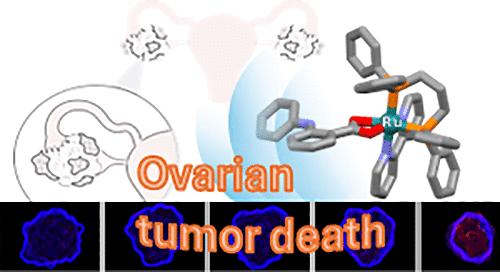 Ru(II)-Fenamic-Based Complexes as Promising Human Ovarian Antitumor Agents: DNA Interaction, Cellular Uptake, and Three-Dimensional Spheroid Models