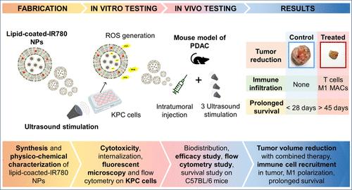 Acoustically Driven Hybrid Nanocrystals for In Vivo Pancreatic Cancer Treatment