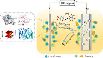 Molecular insights into dye decolorization performance and mechanisms under carbon limited conditions in a membrane aeration-based bioelectrochemical system