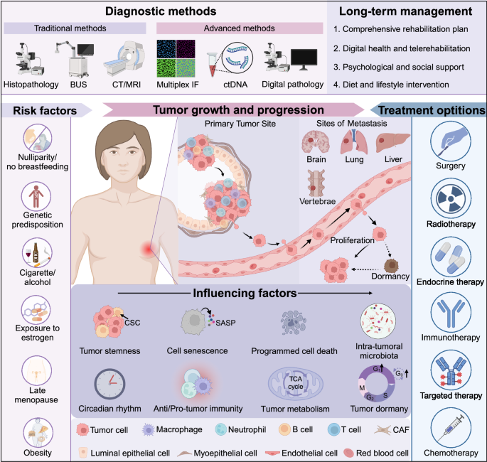 Breast cancer: pathogenesis and treatments