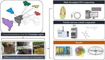 Contribution of post-harvest processing in cocoa bean: Chemometric and metagenomic analysis in fermentation step