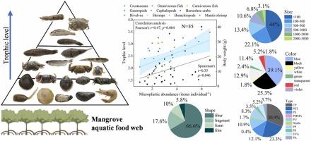 Distribution and diversity of microplastics along the aquatic food web in the largest mangrove reserve of China