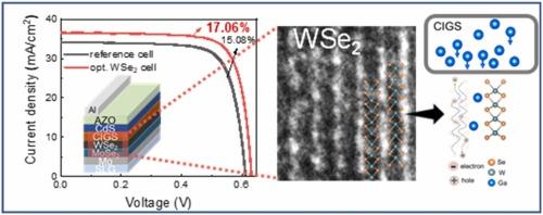 Enhancing Cu(In, Ga)Se2 Solar Cell Efficiency with Vertically Channel-Stacked WSe2 Rear Passivation Layers