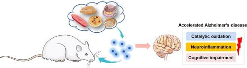 Toxicological mechanisms of carbon polymers in accelerating cognitive decline in Alzheimer’s disease