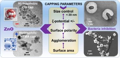 Capping agent control over the physicochemical and antibacterial properties of ZnO nanoparticles