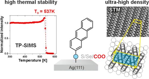 Ultra-Dense, Highly Ordered and Thermally Stable Anthracene Monolayers on Ag(111)─The Impact of the Anchoring Group