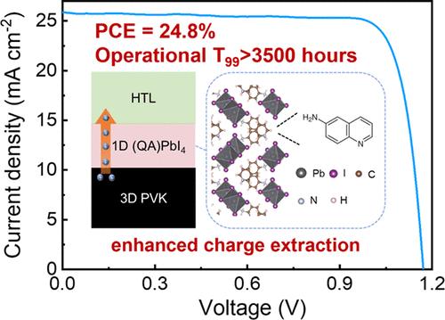 High-Performance Perovskite Solar Cells Enabled by One-Dimensional Capping Layer with Conjugated Ligands