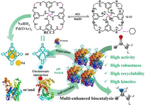 Organic Molecular Cage-Mediated pH-Responsive Reversible Protein Self-Assembly with Multi-Enhanced Enzymatic Performance