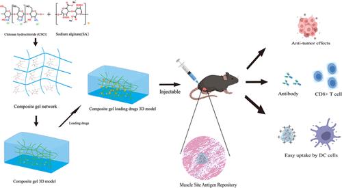 An Injectable Chitosan Hydrochloride-Sodium Alginate Hydrogel Adjuvant Capable of Eliciting Potent Humoral and Cellular Immunity