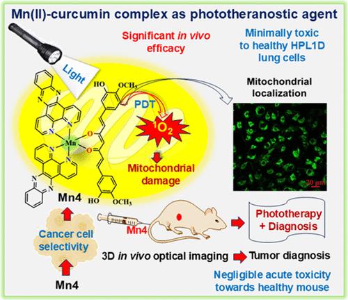 Photostable Mn(II) Complex of Curcumin for Effective Photodynamic Therapy and Precise Three-Dimensional In Vivo Tumor Imaging