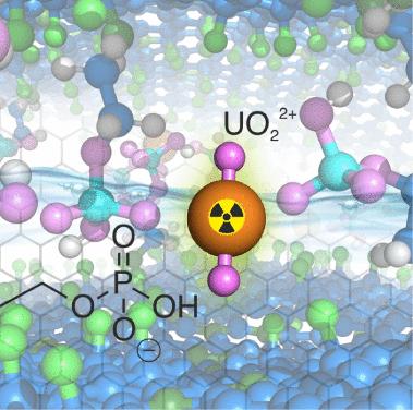 Phosphoryl-Graphene for High-Efficiency Uranium Separation and Recycling