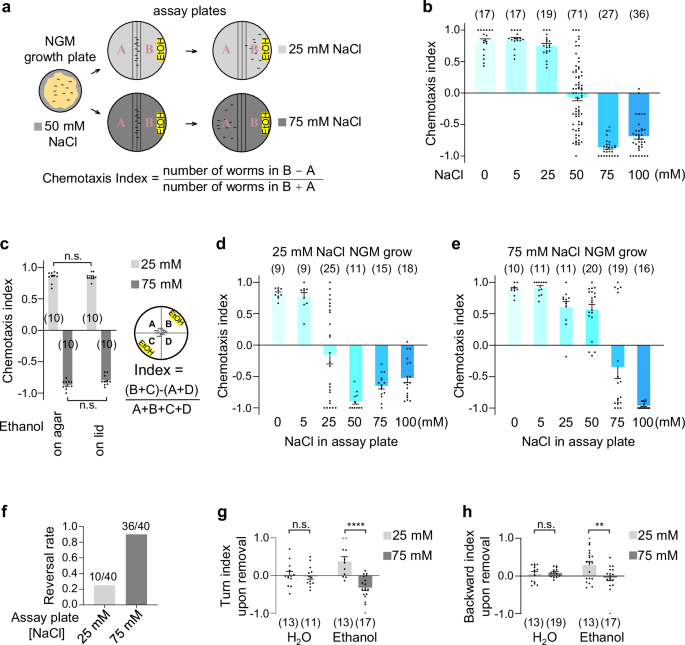 Calcium levels in ASER neurons determine behavioral valence by engaging distinct neuronal circuits in C. elegans