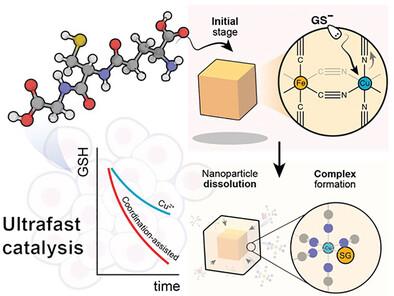 A Highly-Active Chemodynamic Agent Based on In Situ Generated Copper Complexes from Copper Hexacyanoferrate Nanoparticles