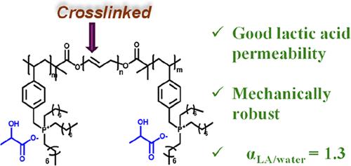 Designing a Block Copolymer Membrane for Selective Transport of Lactic Acid from Aqueous Mixtures
