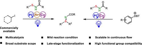 Dual Copper/Photoredox Catalysis for Radical-Mediated Arylation and Alkylation of Sulfenamides