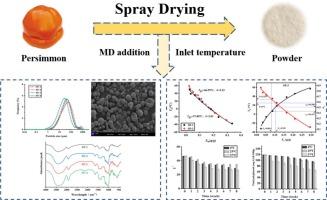 Expanding the potential of persimmon (Diospyros kaki L. cv. Mopan): A promising strategy for the development of stable spray-dried Mopan persimmon pulp powder with high nutritional value