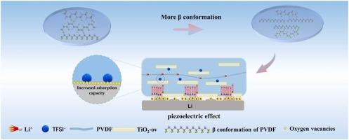 Oxygen vacancy-enriched TiO2 nanosheets filled PVDF electrolyte for semi-solid-state batteries: Synergistic effects of conformational transition and defect sites