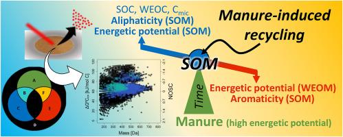 Long-term effects of manure addition on soil organic matter molecular composition: Carbon transformation as a major driver of energetic potential