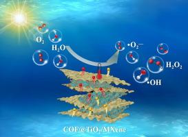 Interface engineering in 2D/0D/2D COF@TiO2/MXene S-scheme heterojunction: Decipher charge pathways for antibiotic removal and H2O2 production