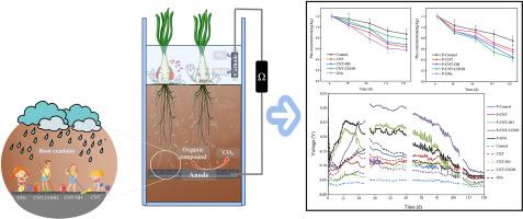 Enhancing the efficiency of P-SMFCs in degrading phenanthrene by modifying the anode with carbon nanomaterials