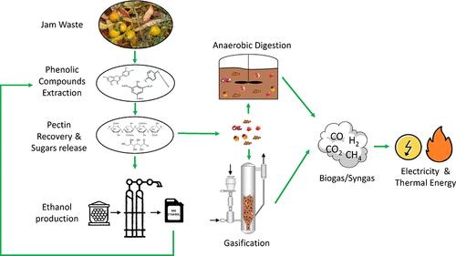 Developing a Circular Economy around Jam Production Wastes