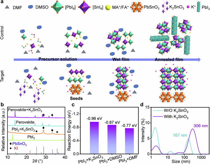 Universal in situ oxide-based ABX3-structured seeds for templating halide perovskite growth in All-perovskite tandems