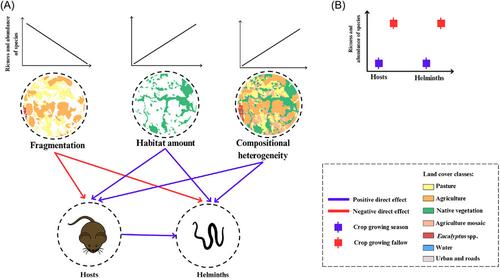 Host diversity mediates the influence of landscape structure on parasite communities in Cerrado agricultural landscapes