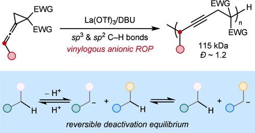Vinylogous Anionic Ring-Opening Polymerization of Vinylidenecyclopropanes with Native C–H Bonds as the Dormant Species
