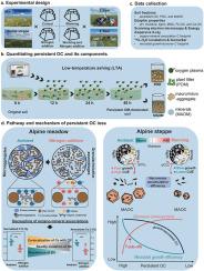 Mechanisms of soil persistent organic carbon loss in alpine ecosystems: Insights into microbial and calcium spatial footprint