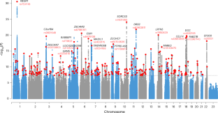 Cross-ancestry genome-wide association study and systems-level integrative analyses implicate new risk genes and therapeutic targets for depression