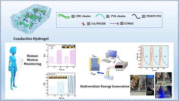 Extremely-low electrical-hysteresis hydrogels for multifunctional wearable sensors and osmotic power generators