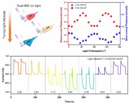 Photoinduced Deterministic Polarization Switching in CuInP2S6 for Multifunctional Optoelectronic Logic Gates