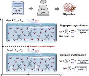 Enhanced CO2 capture from flue gas using TBAF semi-clathrate hydrates: A comprehensive thermodynamic and kinetic study