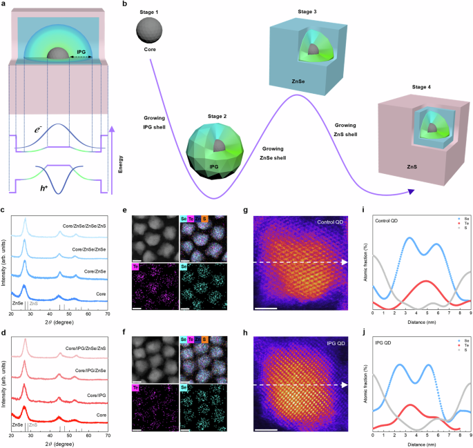 Highly efficient and eco-friendly green quantum dot light-emitting diodes through interfacial potential grading