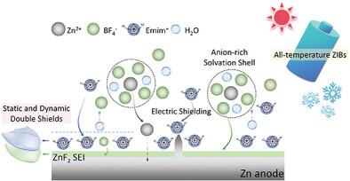 Ionic Liquid Induced Static and Dynamic Interface Double Shields for Long-Lifespan All-Temperature Zn-Ion Batteries