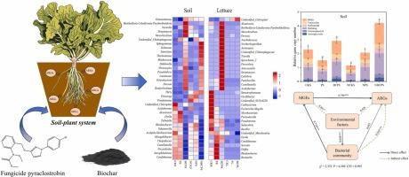 Co-exposure of pyraclostrobin and biochar promoted antibiotic resistance genes transfer from soil to lettuce