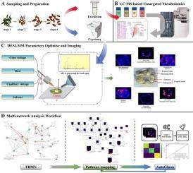 Multilayered visual metabolomics analysis framework for enhanced exploration of functional components in wolfberry