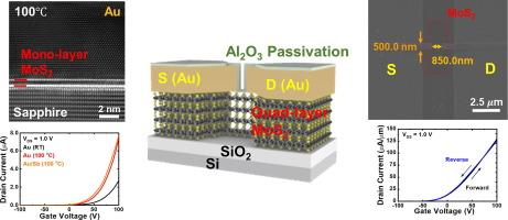 High-performance transistors with polycrystalline 2D material channels: The influence of gold electrode crystallinity and the layer number of molybdenum disulfide channels