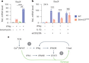 Calcium signaling is essential for T helper 1 cell differentiation