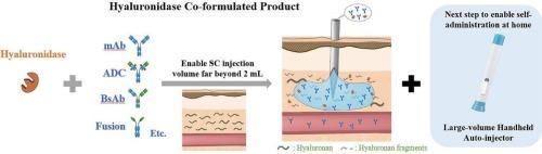 An industry perspective on hyaluronidase co-formulated biopharmaceutics