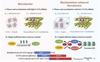 Insights into biostimulation-enhanced microbial detoxification of chromium ore processing residue-contaminated soil: The critical role of Cr(VI) key host-phase transformation and soil microbiota shifts