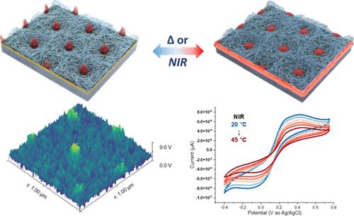 Dual-Responsive Macromolecular Surfaces with Binary Patterns