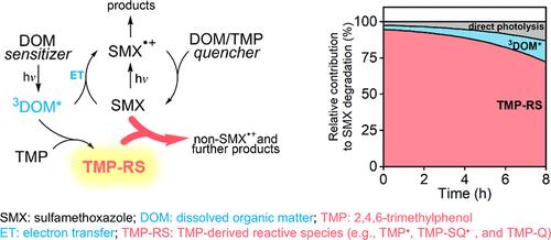From Quencher to Promoter: Revisiting the Role of 2,4,6-Trimethylphenol (TMP) in Triplet-State Photochemistry of Dissolved Organic Matter
