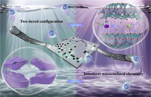 Integrated influence of bulk cations on the degradation of florfenicol by smectite-intercalated ultrafine zero-valent iron