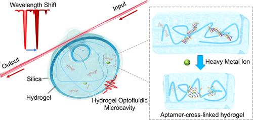 High-Sensitive Hydrogel Optofluidic Microcavities for Heavy Metal Ion Detection